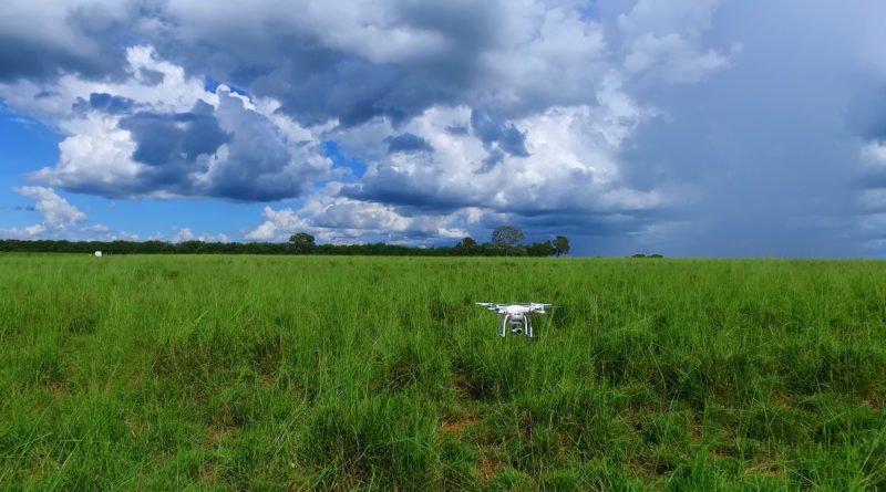 Resultado de imagem para drone voando sobre pasto